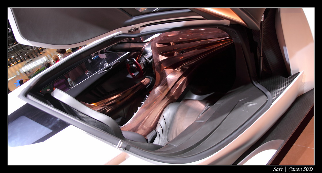 2008   10   Salon auto Paris   171